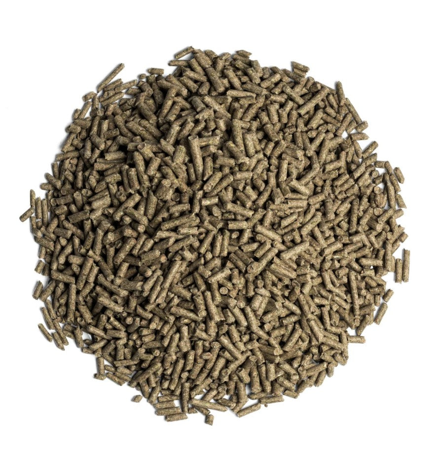 Aloe Pellets for Horses - Ranch Life Naturals
