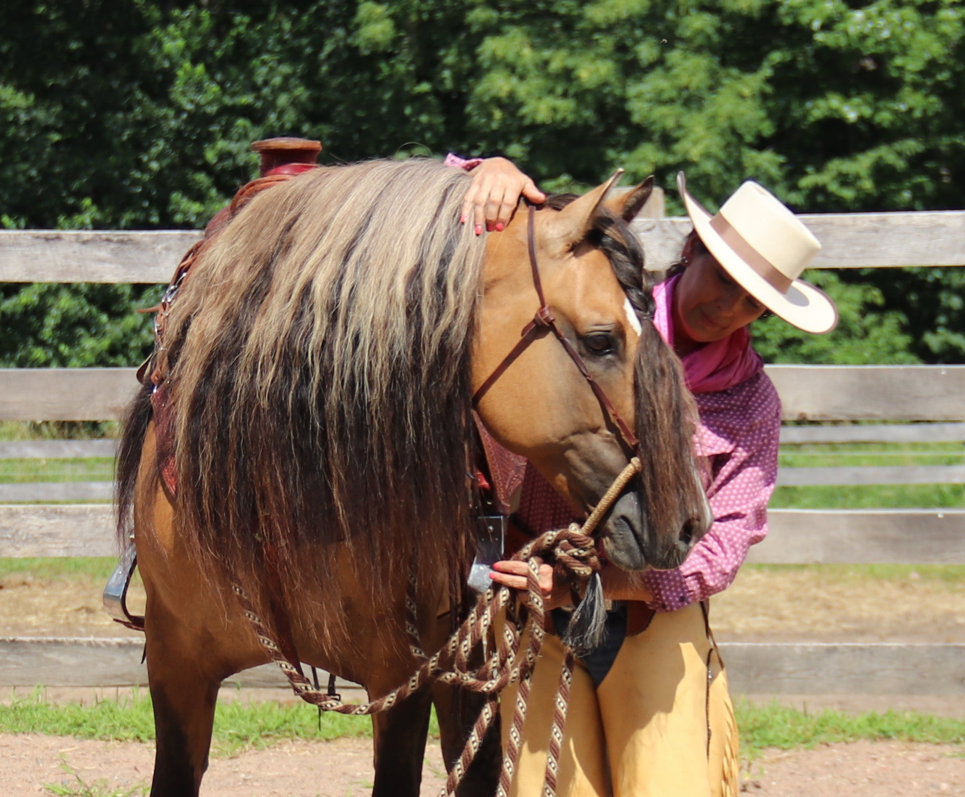 Original Detangler No. 02 - Ranch Life Naturals