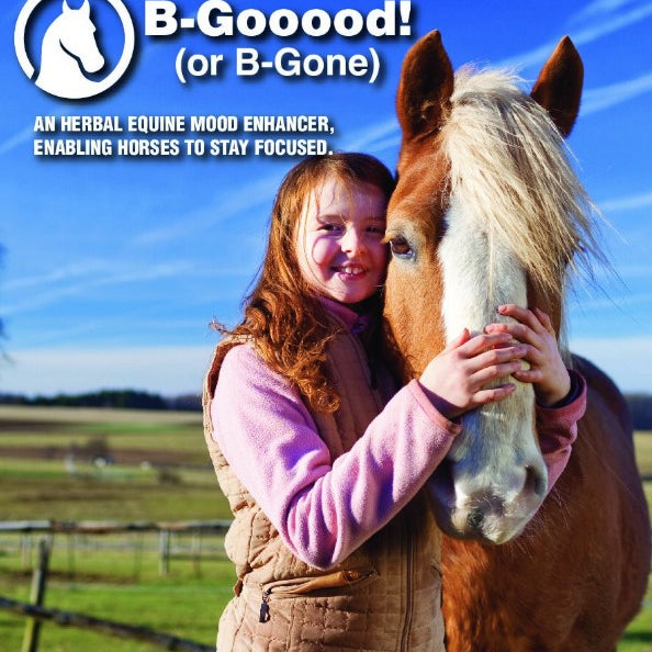 Equi-Shine B-Good - Ranch Life Naturals