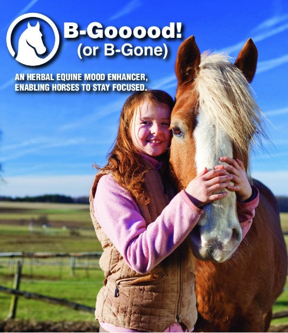 Equi-Shine B-Good - Ranch Life Naturals