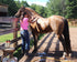 Shampoos/ Conditioners For Horses - Ranch Life Naturals