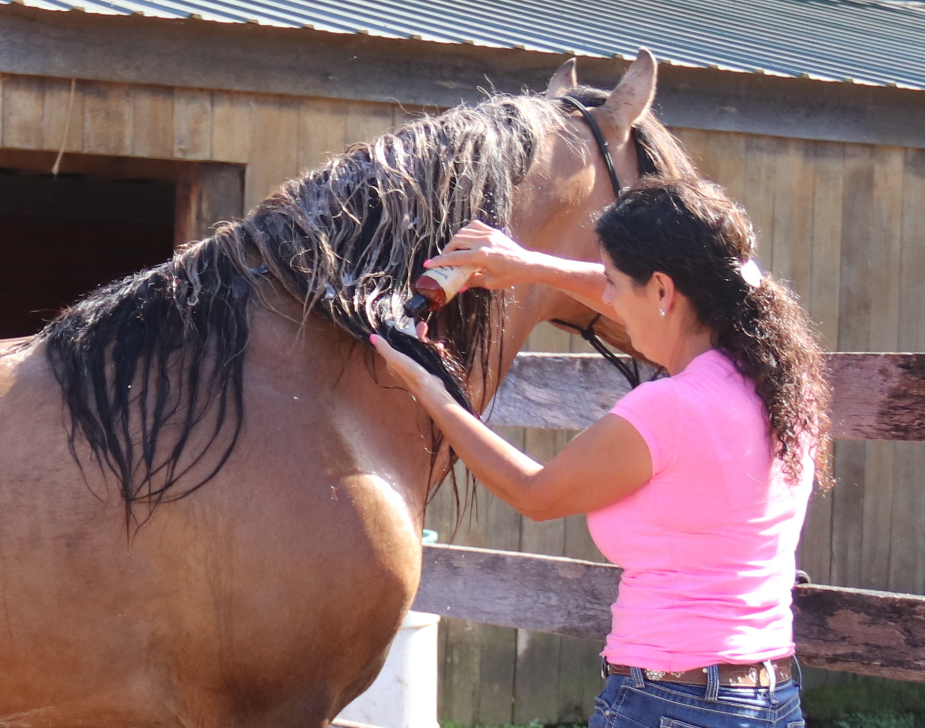 Shampoos/ Conditioners For Horses - Ranch Life Naturals