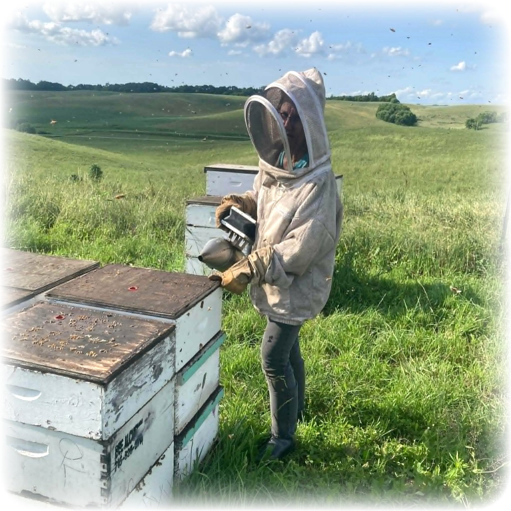 Raw Honey