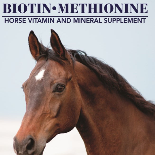 Equi-Shine Biotin/Methionine - Ranch Life Naturals