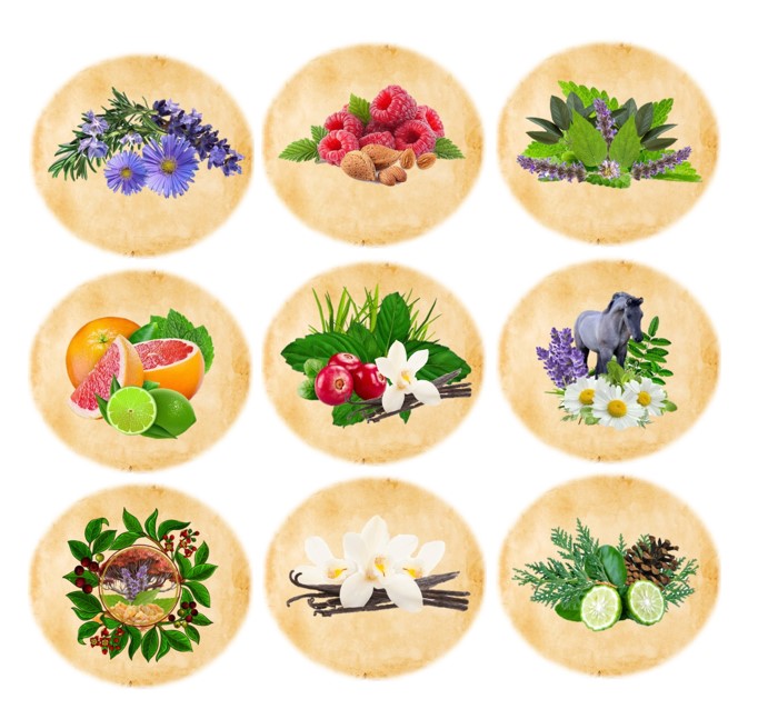 Choose Products by Your Favorite Scent