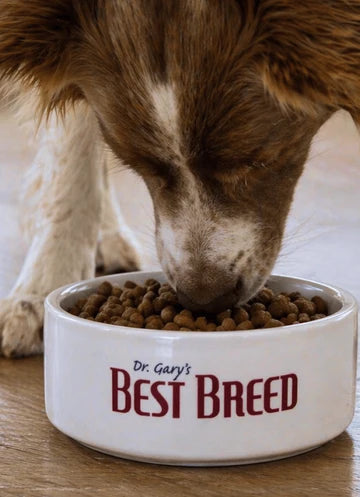 Dr. Gary’s Best Senior Dog Recipe (Reduced Calorie)