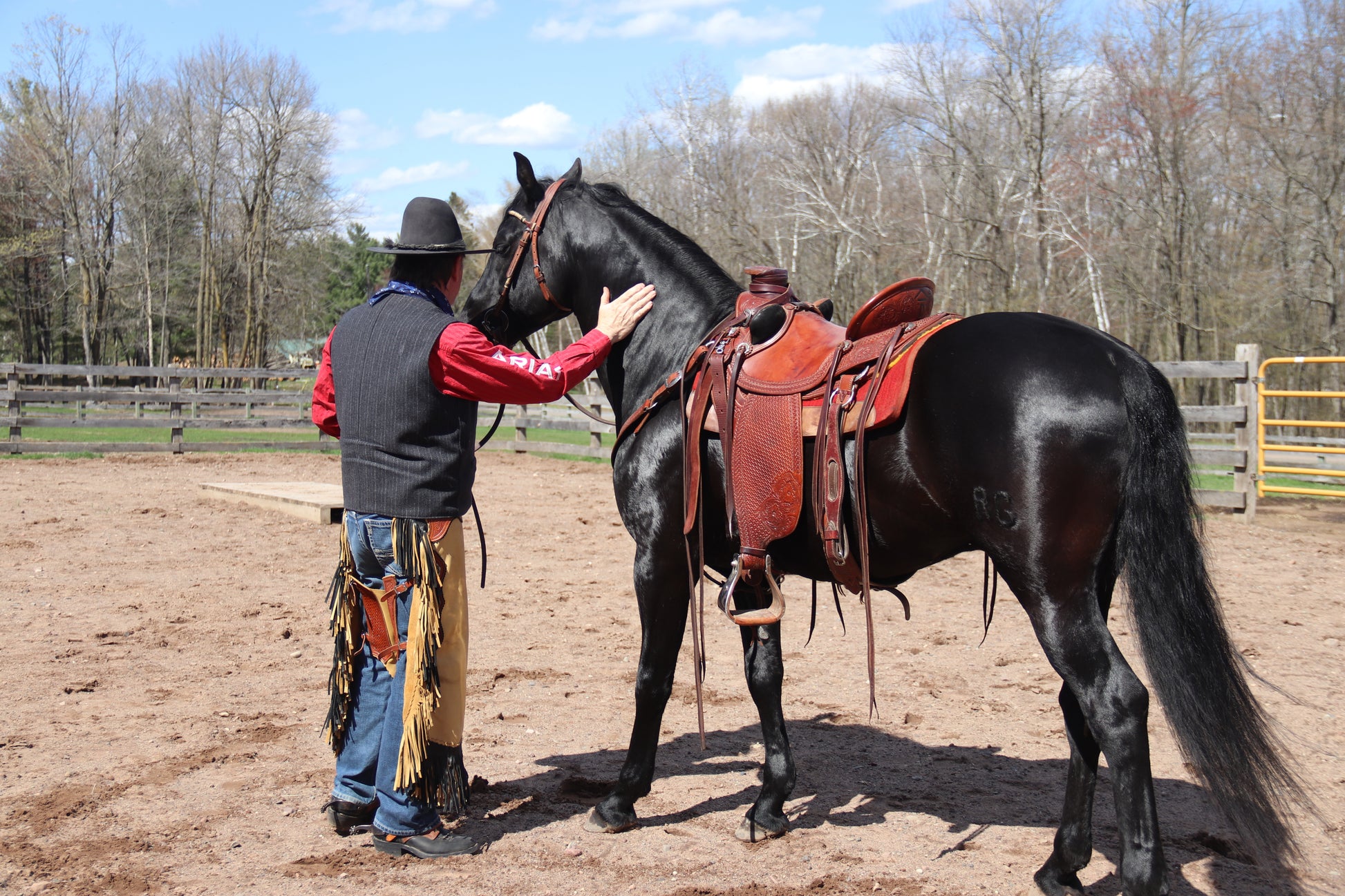 Shampoos/ Conditioners For Horses - Ranch Life Naturals