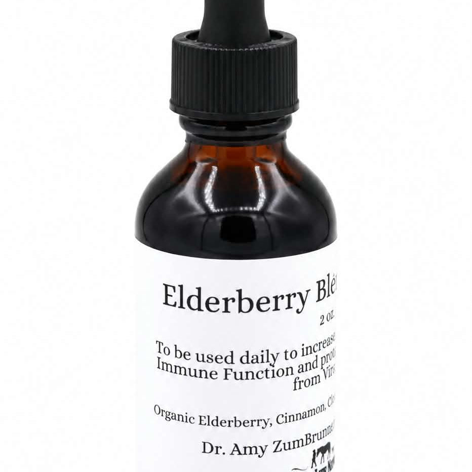 Dr. Amy's Elderberry Tincture