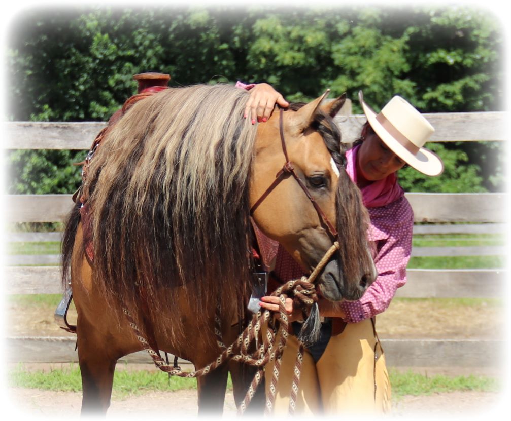 Borstiq Horse Brushes & Tek Italy Mane/Tail Brushes/Combs - Ranch Life Naturals