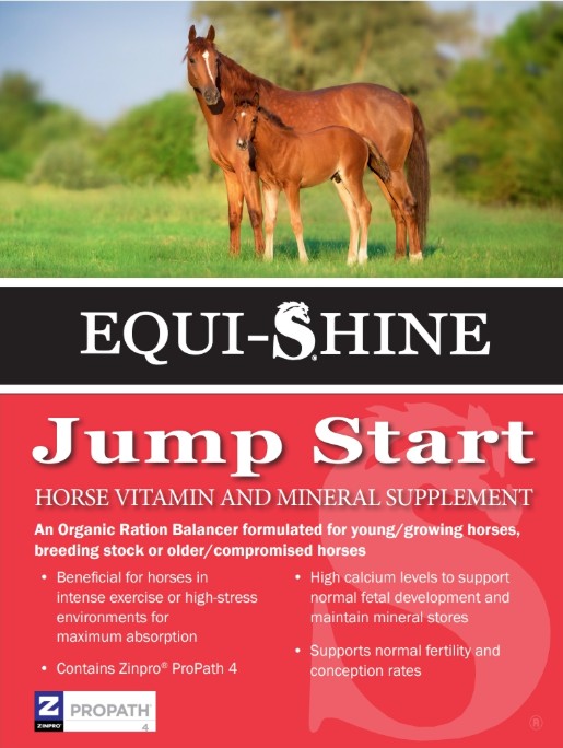 Equi-Shine Jump Start - Ranch Life Naturals