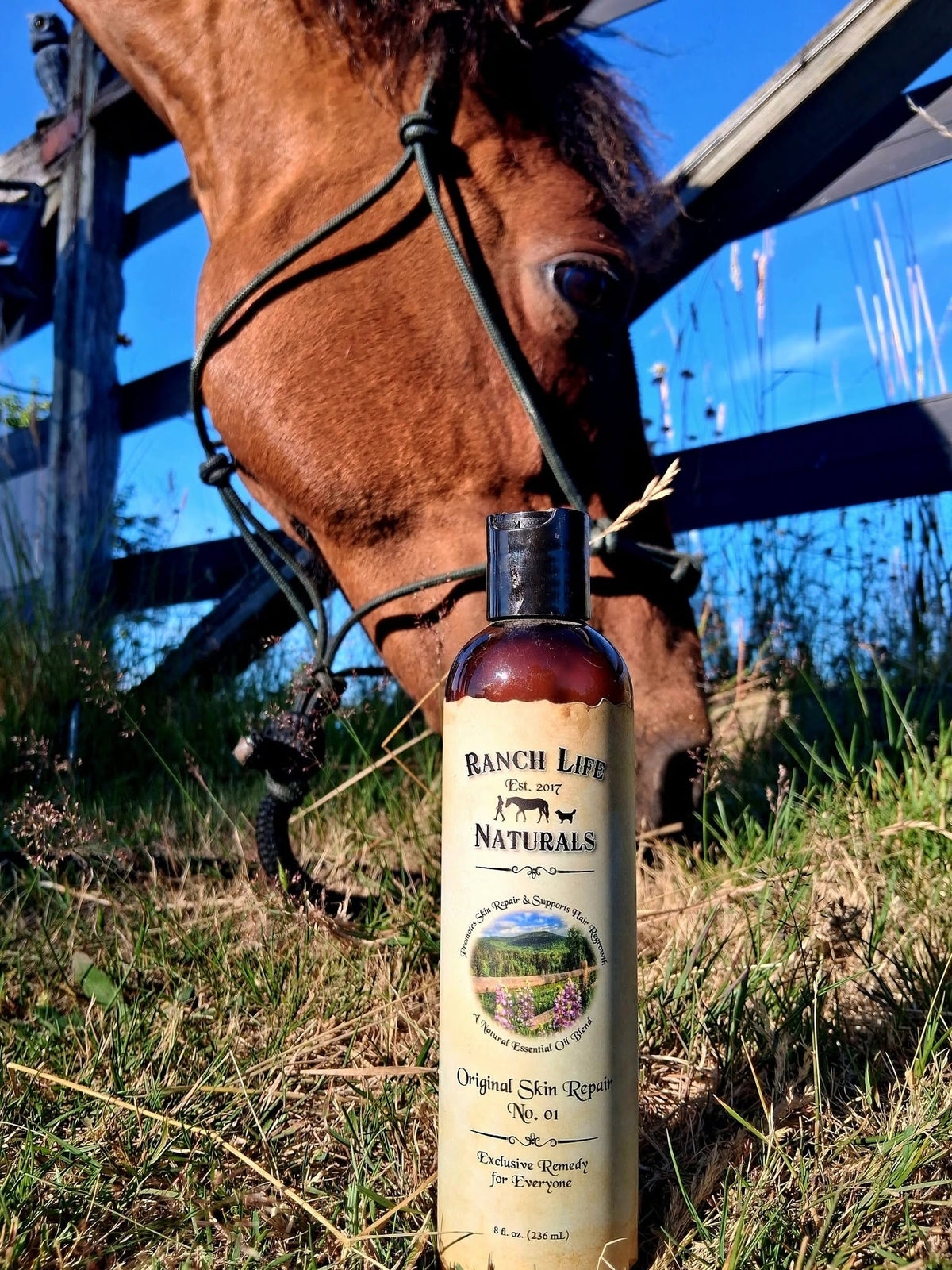 A bottle of Original Skin Repair No. 01 in the grass next to a horse grazing.