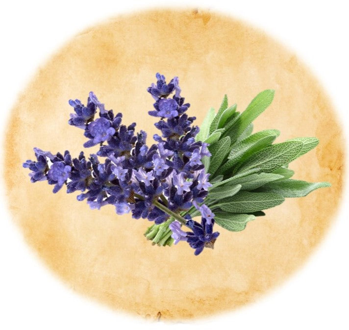 Lavender Clary Sage - Ranch Life Naturals