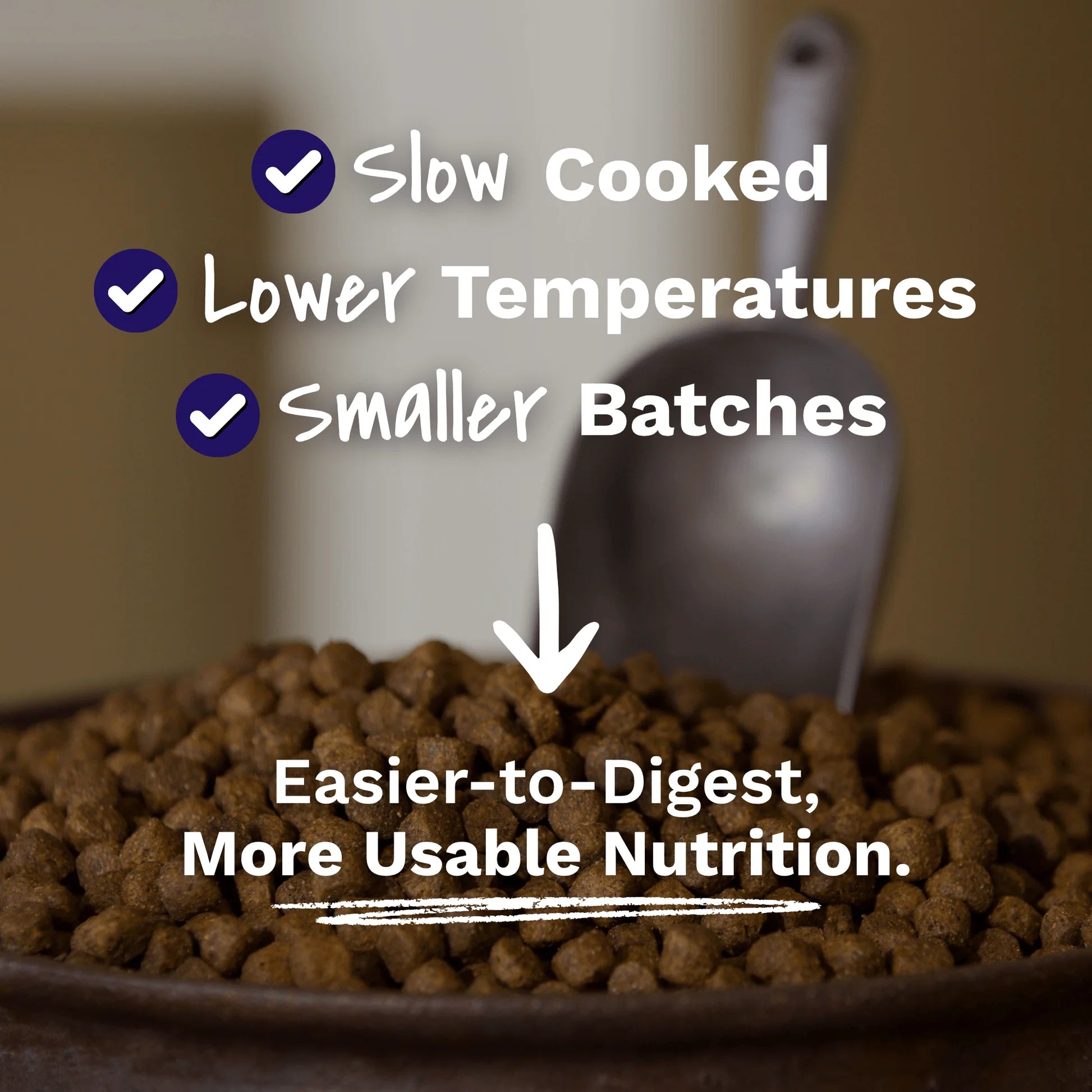 Dr. Gary’s Best Senior Dog Recipe (Reduced Calorie)