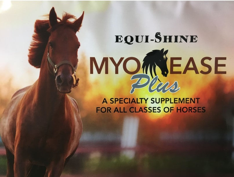 Equi-Shine Myo-Ease - Ranch Life Naturals