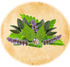 Patchouli Mint Clary Sage - Ranch Life Naturals