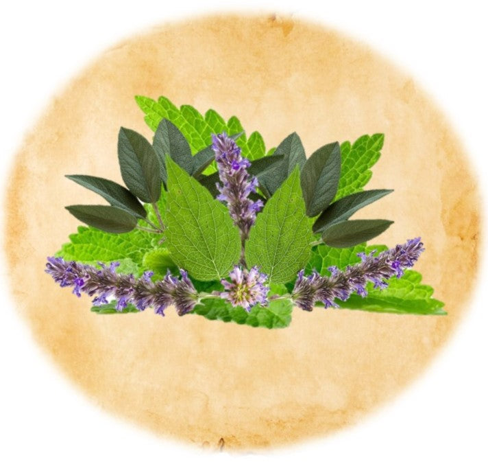 Patchouli Mint Clary Sage - Ranch Life Naturals