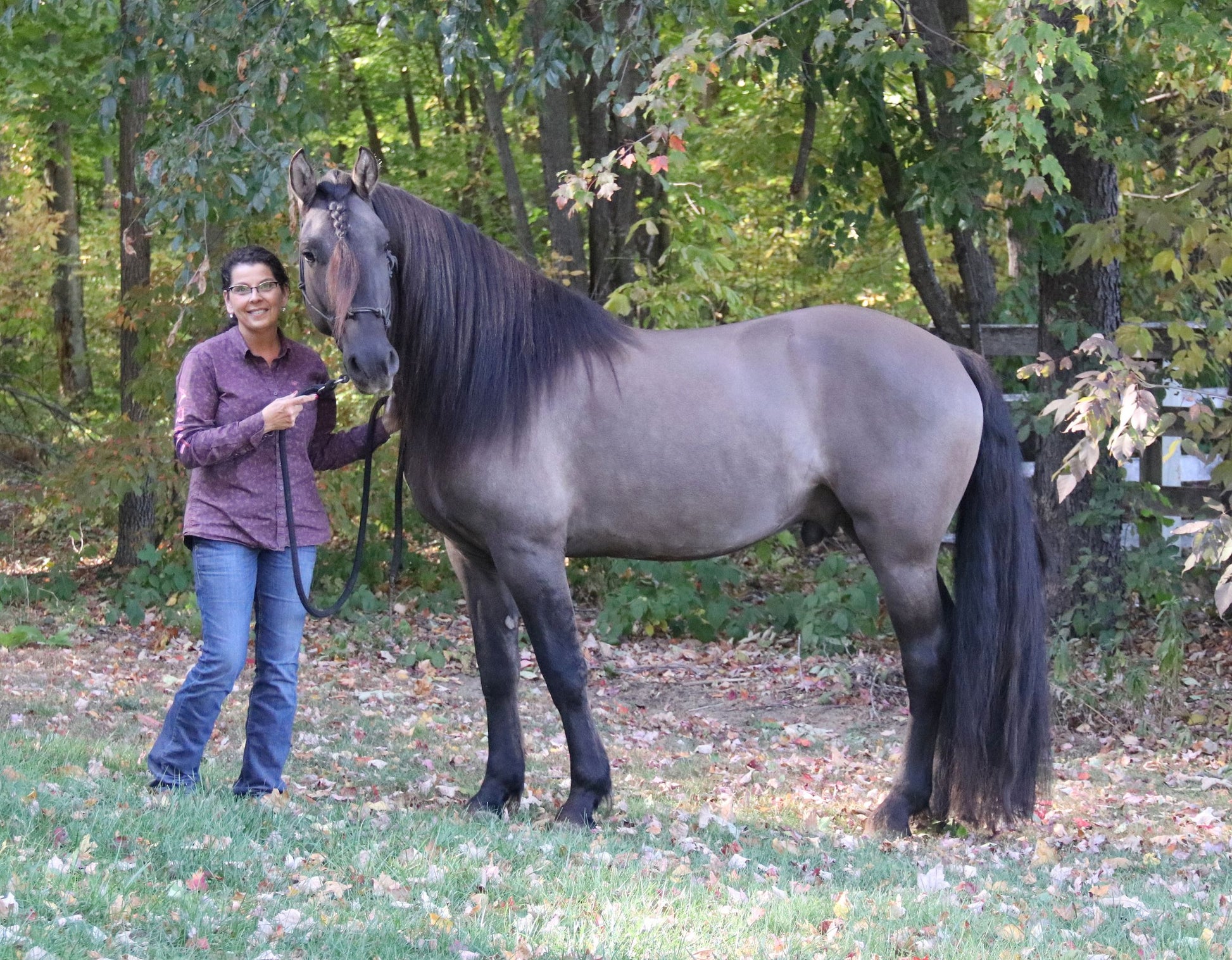 Grow Long Mane & Tail Bundle