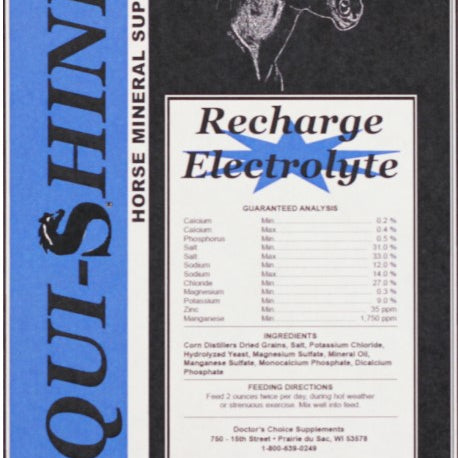 Equi-Shine Recharge Electrolyte - Ranch Life Naturals