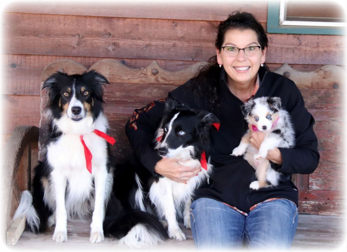 Itchy Skin Dog Bundles