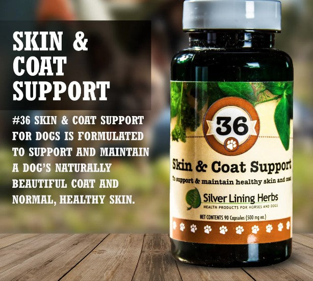 Skin & Coat Support for Dogs - Ranch Life Naturals