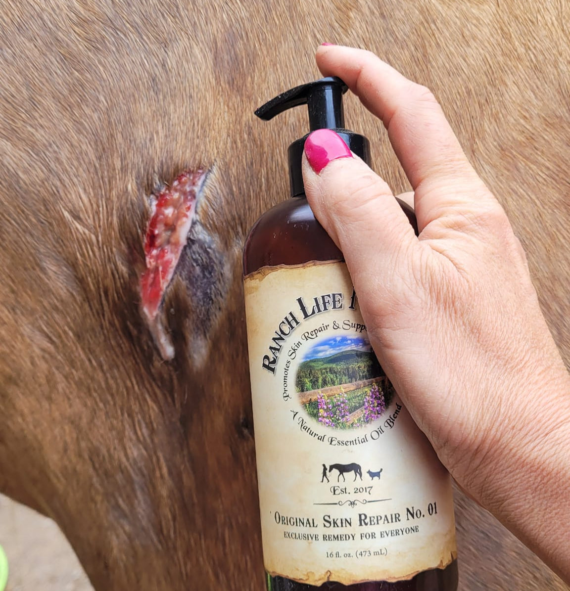 Original Skin Repair No. 01 bottle beside an affected skin area on a horse.