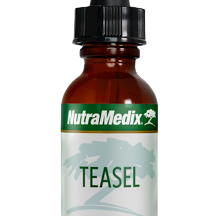 Teasel by NutraMedix, LLC - Ranch Life Naturals