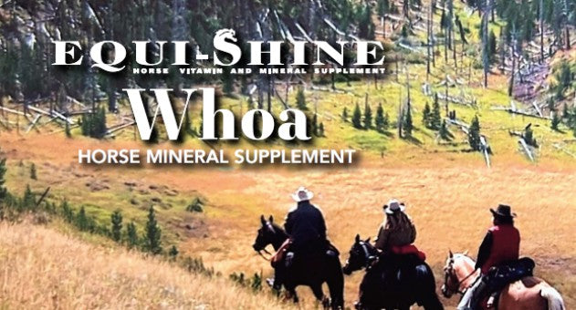 Equi-Shine Whoa! - Ranch Life Naturals