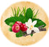 Wild Sweet Grass Mint Berry - Ranch Life Naturals