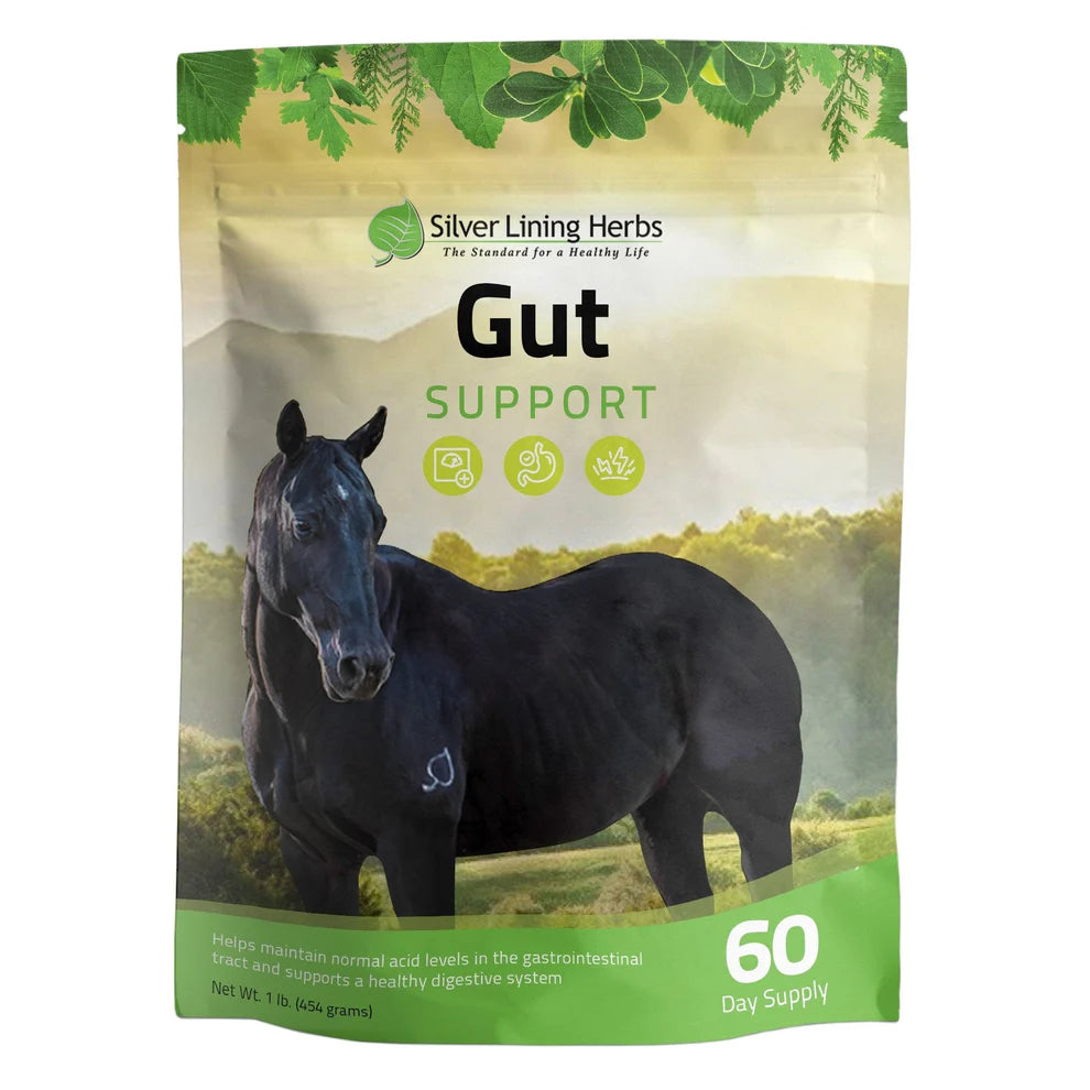 Gut Support - Ranch Life Naturals