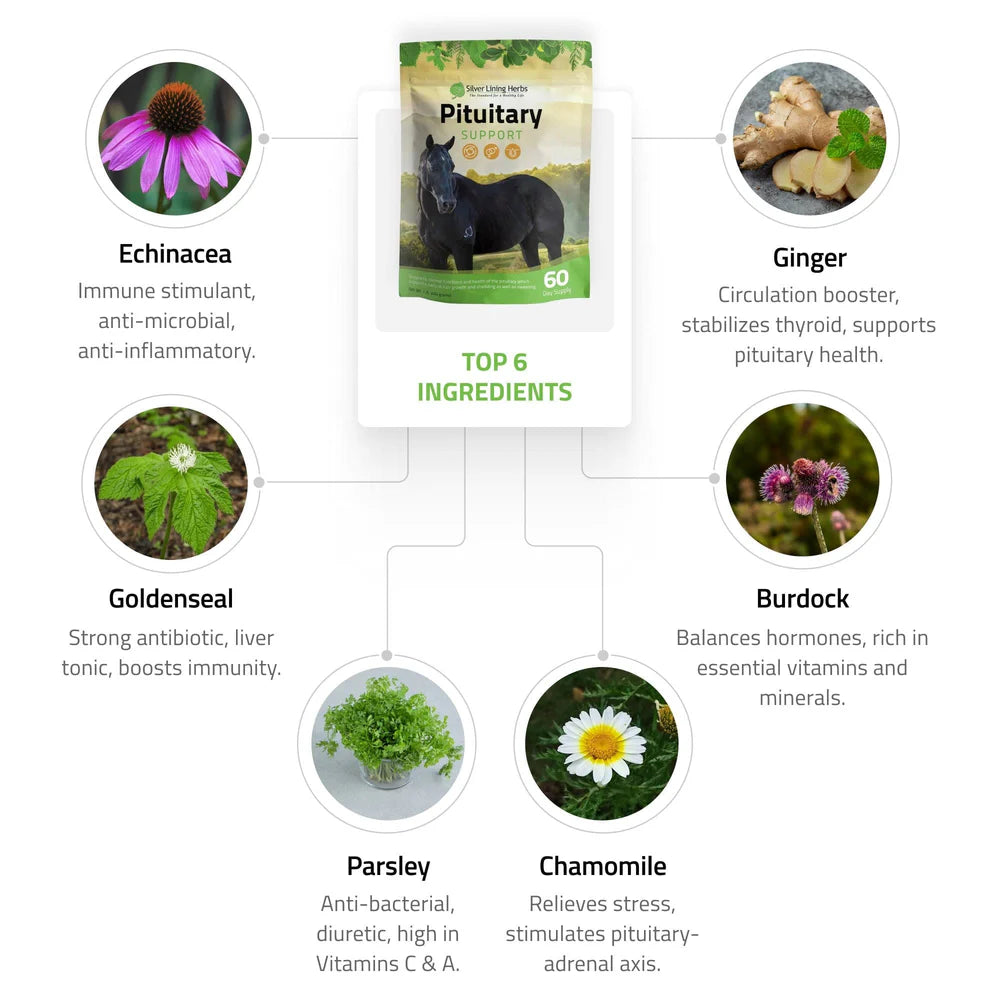 Pituitary Support - Ranch Life Naturals