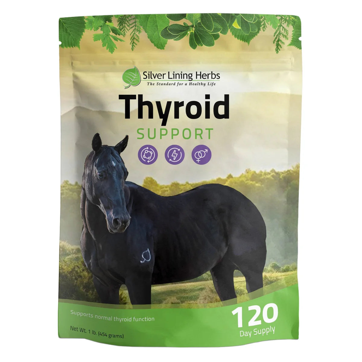 Thyroid Support - Ranch Life Naturals