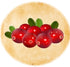 Wild Cranberry Outlaw Thieves - Ranch Life Naturals