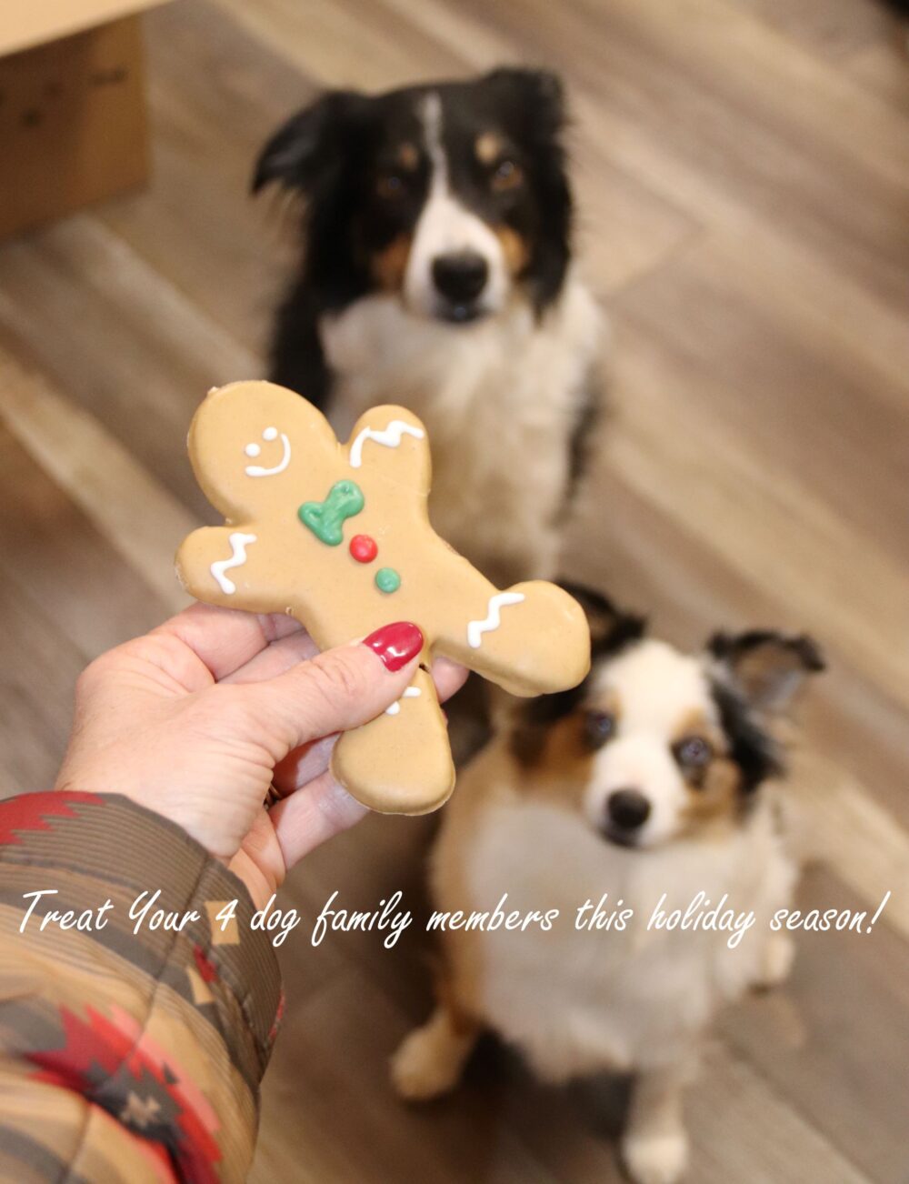 Ranch Dog Christmas Cookie Box - Image 4