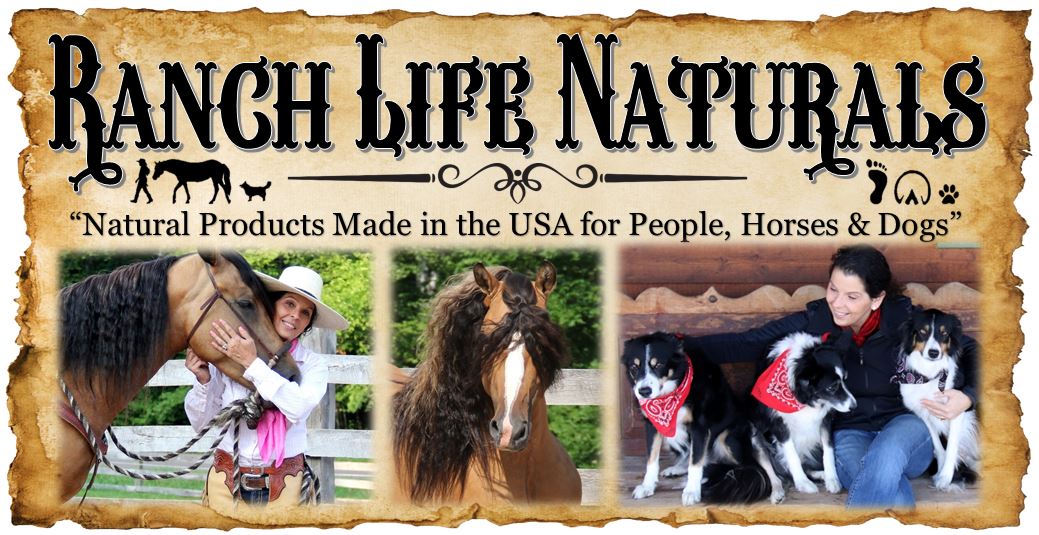 VTG‼ Kiwi Saddle Soap Round Tin Empty Farmhouse Ranch Horse Decor USA Made