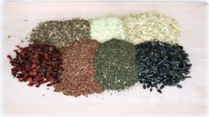 Read more about the article New Horse Herbs for a healthy coat!