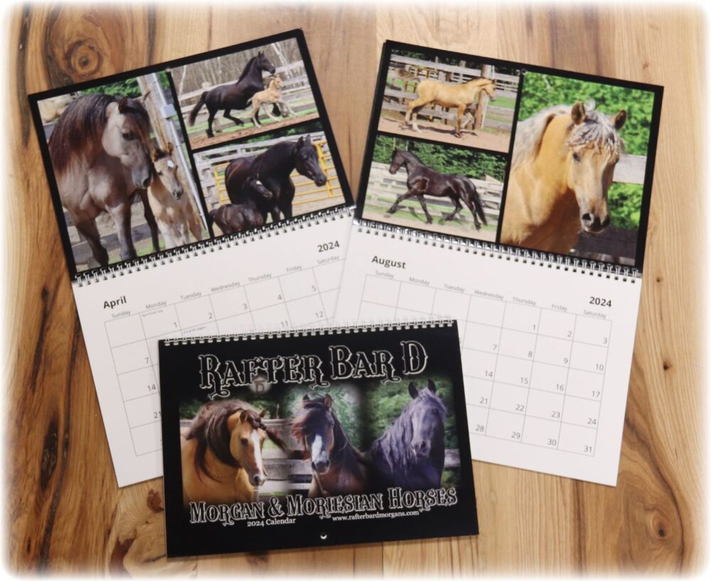 2024 RBD Horse Calendar