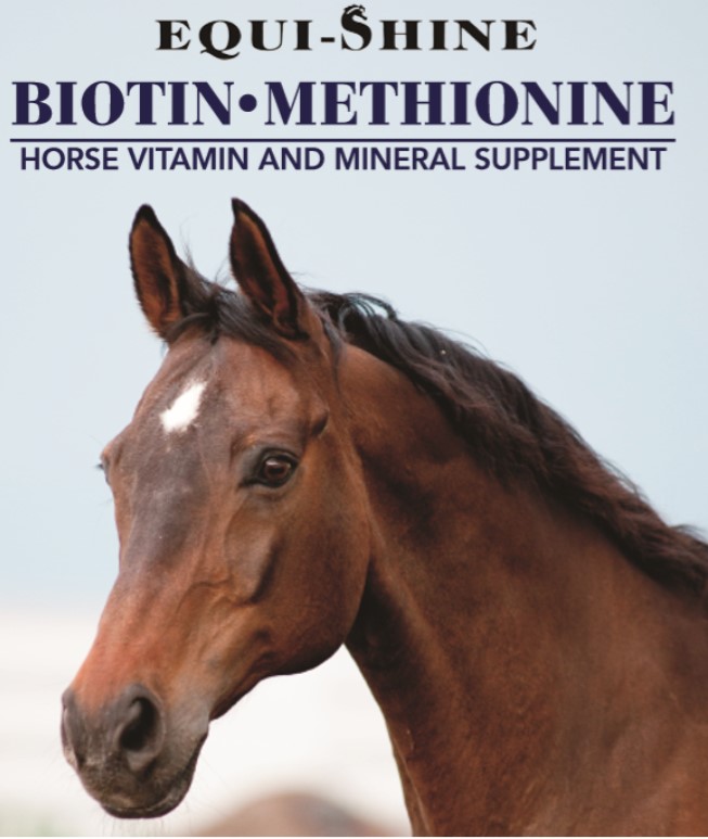 Biotin/Methionine Equi-Shine Supplement