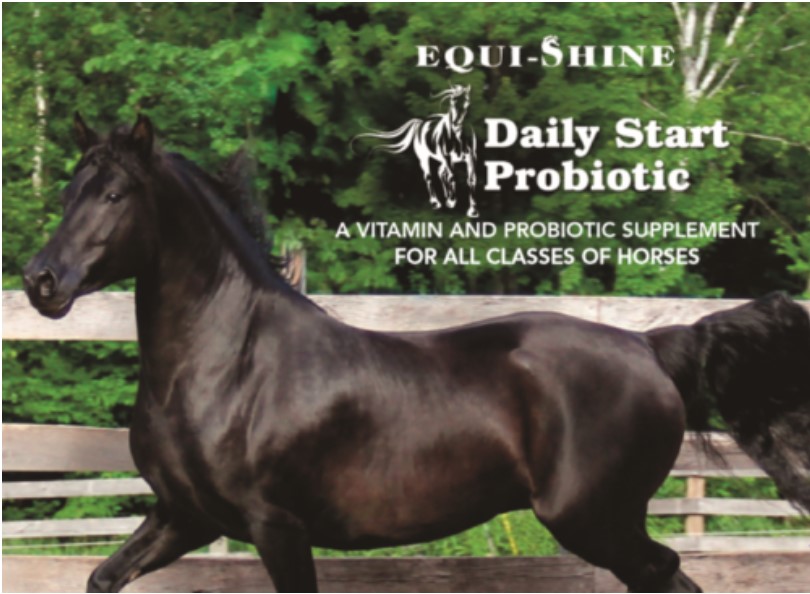 Daily Start Probiotic Equi-Shine Supplement