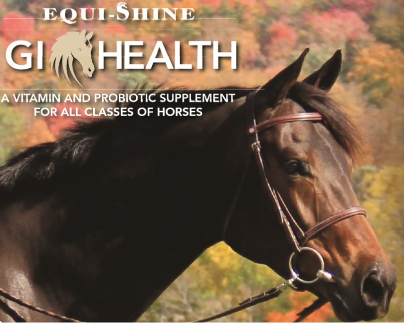 GI Health Equi-Shine Supplement