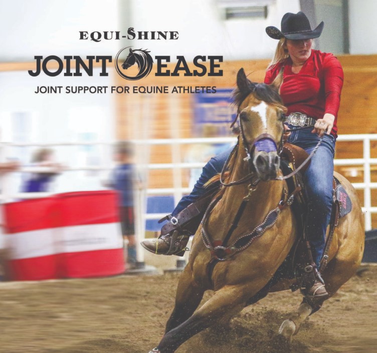 Joint Ease Equi-Shine Supplement