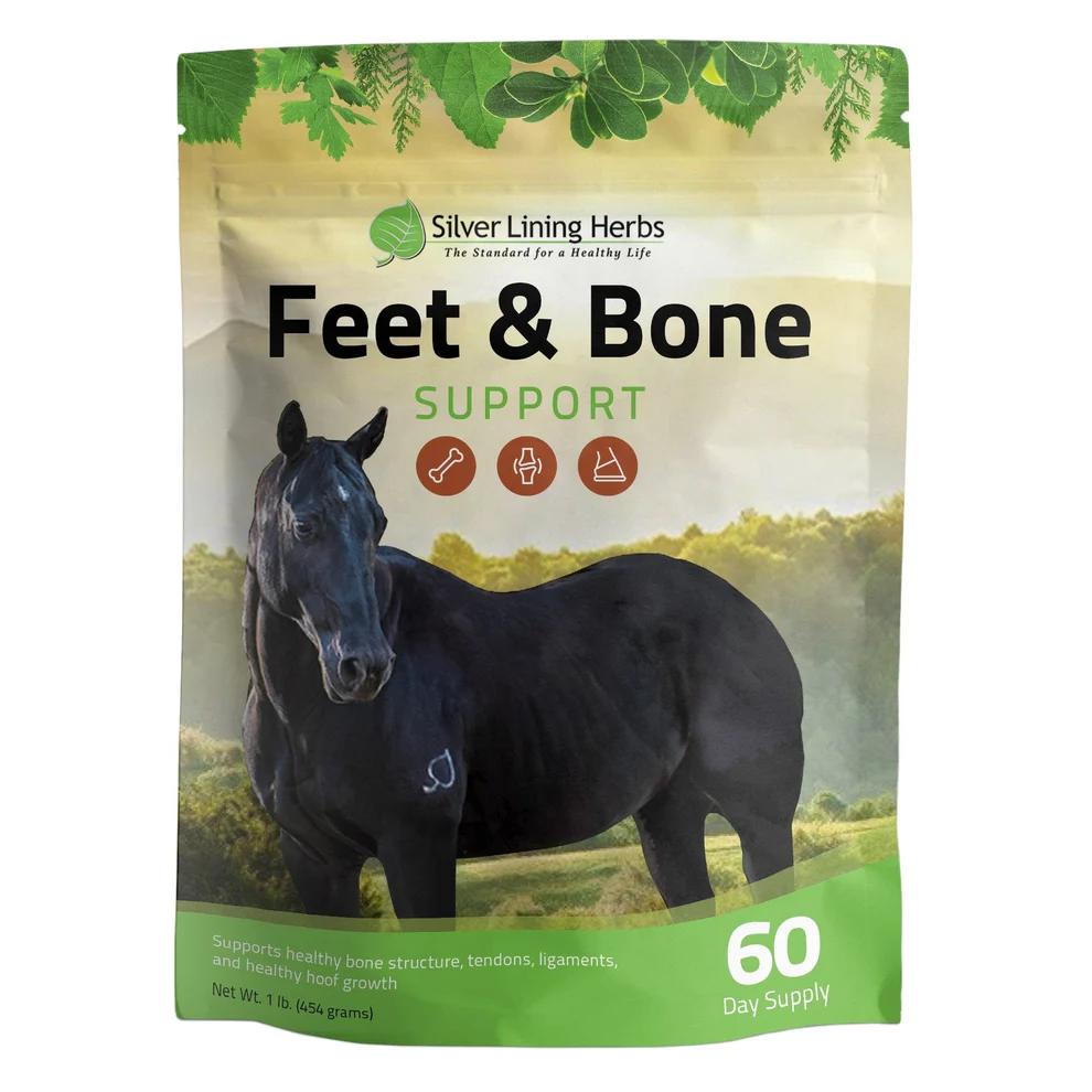 Feet & Bone Support