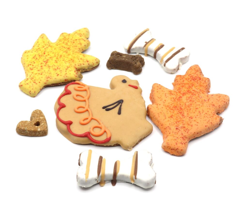 Thanksgiving Turkey Ranch Dog Cookie Box